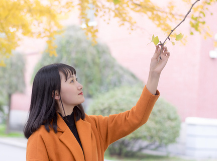 获得菲律宾驾驶证的两种方式